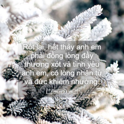 Picture 05 - 1 Phi-rơ 3:8 VIE - Rốt lại, hết thảy anh em phải đồng - Bible Verse Picture