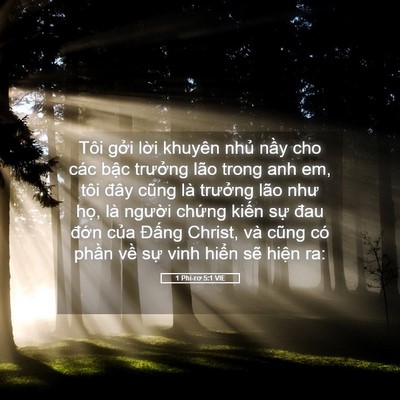 Picture 05 - 1 Phi-rơ 5:1 VIE - Tôi gởi lời khuyên nhủ nầy cho các - Bible Verse Picture