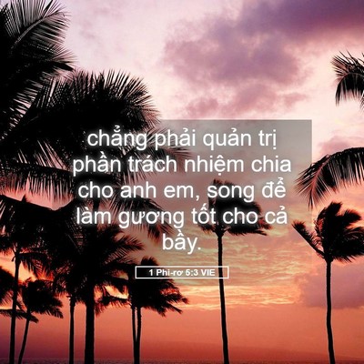 Picture 05 - 1 Phi-rơ 5:3 VIE - chẳng phải quản trị phần trách nhiệm - Bible Verse Picture