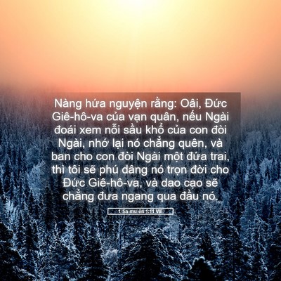Picture 05 - 1 Sa-mu-ên 1:11 VIE - Nàng hứa nguyện rằng: Oâi, Đức - Bible Verse Picture
