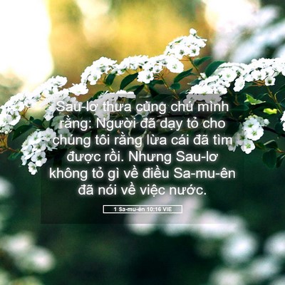 Picture 05 - 1 Sa-mu-ên 10:16 VIE - Sau-lơ thưa cùng chú mình rằng: Người - Bible Verse Picture
