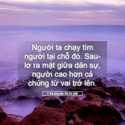 Picture 05 - 1 Sa-mu-ên 10:23 VIE - Người ta chạy tìm người tại chỗ - Bible Verse Picture