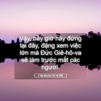 Picture 05 - 1 Sa-mu-ên 12:16 VIE - Vậy, bây giờ hãy đứng tại đây, - Bible Verse Picture