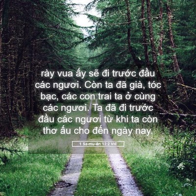 Picture 05 - 1 Sa-mu-ên 12:2 VIE - rày vua ấy sẽ đi trước đầu các - Bible Verse Picture