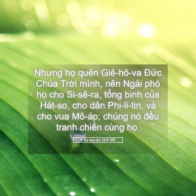 Picture 05 - 1 Sa-mu-ên 12:9 VIE - Nhưng họ quên Giê-hô-va Đức Chúa Trời - Bible Verse Picture