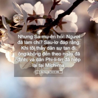 Picture 05 - 1 Sa-mu-ên 13:11 VIE - Nhưng Sa-mu-ên hỏi: Ngươi đã làm chi? - Bible Verse Picture