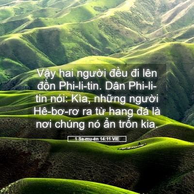Picture 05 - 1 Sa-mu-ên 14:11 VIE - Vậy hai người đều đi lên đồn - Bible Verse Picture