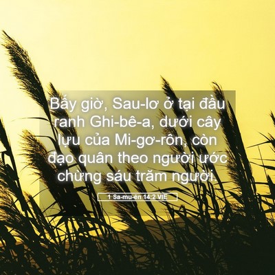Picture 05 - 1 Sa-mu-ên 14:2 VIE - Bấy giờ, Sau-lơ ở tại đầu ranh - Bible Verse Picture