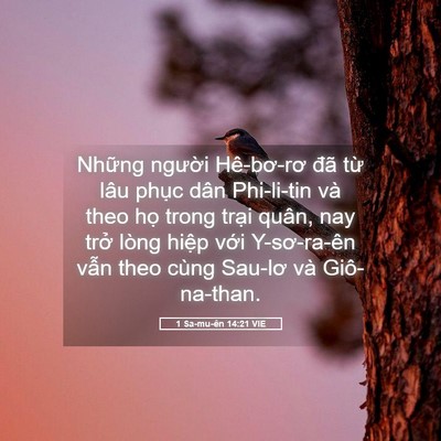 Picture 05 - 1 Sa-mu-ên 14:21 VIE - Những người Hê-bơ-rơ đã từ lâu - Bible Verse Picture