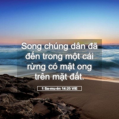 Picture 05 - 1 Sa-mu-ên 14:25 VIE - Song chúng dân đã đến trong một cái - Bible Verse Picture