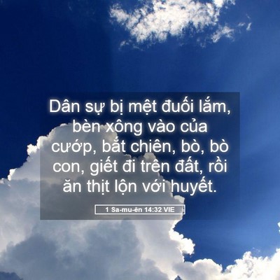 Picture 05 - 1 Sa-mu-ên 14:32 VIE - Dân sự bị mệt đuối lắm, bèn xông - Bible Verse Picture