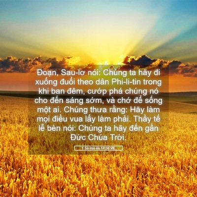 Picture 05 - 1 Sa-mu-ên 14:36 VIE - Đoạn, Sau-lơ nói: Chúng ta hãy đi xuống - Bible Verse Picture