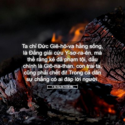 Picture 05 - 1 Sa-mu-ên 14:39 VIE - Ta chỉ Đức Giê-hô-va hằng sống, là - Bible Verse Picture