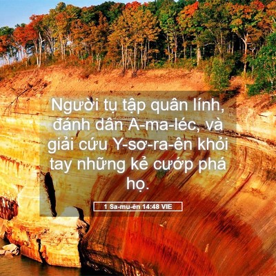 Picture 05 - 1 Sa-mu-ên 14:48 VIE - Người tụ tập quân lính, đánh dân - Bible Verse Picture