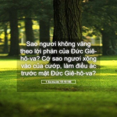 Picture 05 - 1 Sa-mu-ên 15:19 VIE - Sao ngươi không vâng theo lời phán của - Bible Verse Picture