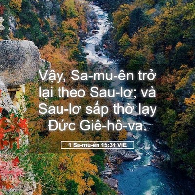 Picture 05 - 1 Sa-mu-ên 15:31 VIE - Vậy, Sa-mu-ên trở lại theo Sau-lơ; và - Bible Verse Picture