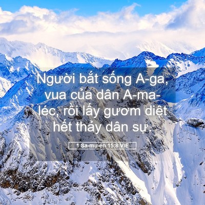 Picture 05 - 1 Sa-mu-ên 15:8 VIE - Người bắt sống A-ga, vua của dân - Bible Verse Picture