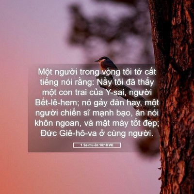 Picture 05 - 1 Sa-mu-ên 16:18 VIE - Một người trong vòng tôi tớ cất - Bible Verse Picture