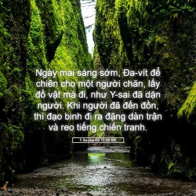 Picture 05 - 1 Sa-mu-ên 17:20 VIE - Ngày mai sáng sớm, Đa-vít để chiên cho - Bible Verse Picture