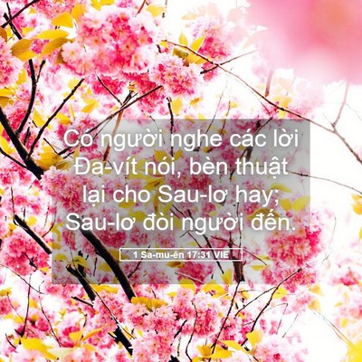 Picture 05 - 1 Sa-mu-ên 17:31 VIE - Có người nghe các lời Đa-vít nói, bèn - Bible Verse Picture
