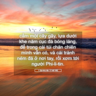 Picture 05 - 1 Sa-mu-ên 17:40 VIE - cầm một cây gậy, lựa dưới khe năm - Bible Verse Picture