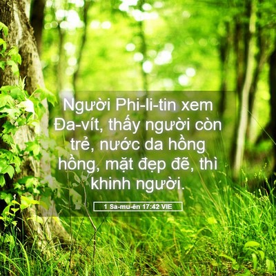 Picture 05 - 1 Sa-mu-ên 17:42 VIE - Người Phi-li-tin xem Đa-vít, thấy người - Bible Verse Picture