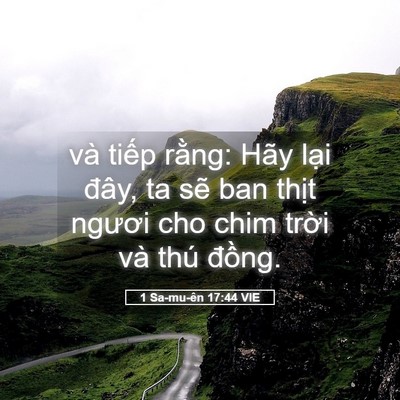 Picture 05 - 1 Sa-mu-ên 17:44 VIE - và tiếp rằng: Hãy lại đây, ta sẽ ban - Bible Verse Picture
