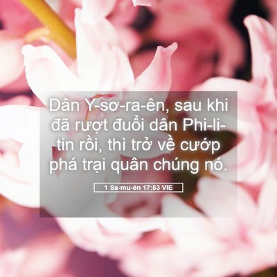 Picture 05 - 1 Sa-mu-ên 17:53 VIE - Dân Y-sơ-ra-ên, sau khi đã rượt đuổi - Bible Verse Picture