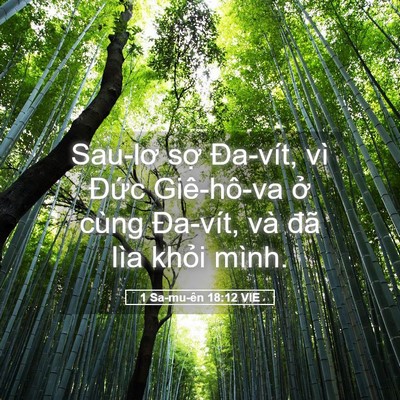 Picture 05 - 1 Sa-mu-ên 18:12 VIE - Sau-lơ sợ Đa-vít, vì Đức Giê-hô-va ở - Bible Verse Picture