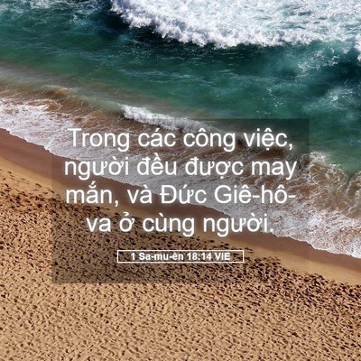 Picture 05 - 1 Sa-mu-ên 18:14 VIE - Trong các công việc, người đều được - Bible Verse Picture
