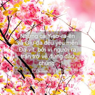 Picture 05 - 1 Sa-mu-ên 18:16 VIE - Nhưng cả Y-sơ-ra-ên và Giu-đa đều yêu - Bible Verse Picture