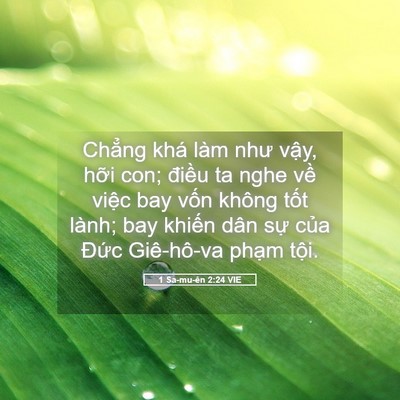 Picture 05 - 1 Sa-mu-ên 2:24 VIE - Chẳng khá làm như vậy, hỡi con; điều - Bible Verse Picture