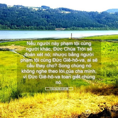 Picture 05 - 1 Sa-mu-ên 2:25 VIE - Nếu người này phạm tội cùng người - Bible Verse Picture