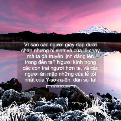 Picture 05 - 1 Sa-mu-ên 2:29 VIE - Vì sao các ngươi giày đạp dưới chân - Bible Verse Picture