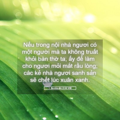 Picture 05 - 1 Sa-mu-ên 2:33 VIE - Nếu trong nội nhà ngươi có một người - Bible Verse Picture