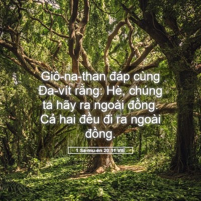 Picture 05 - 1 Sa-mu-ên 20:11 VIE - Giô-na-than đáp cùng Đa-vít rằng: Hè, - Bible Verse Picture