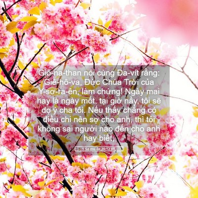 Picture 05 - 1 Sa-mu-ên 20:12 VIE - Giô-na-than nói cùng Đa-vít rằng: - Bible Verse Picture