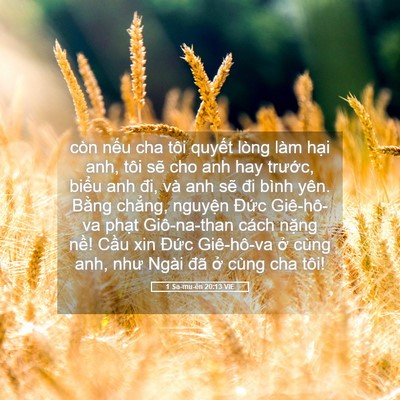 Picture 05 - 1 Sa-mu-ên 20:13 VIE - còn nếu cha tôi quyết lòng làm hại anh, - Bible Verse Picture