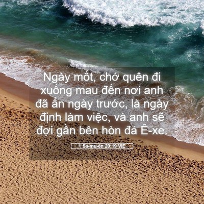 Picture 05 - 1 Sa-mu-ên 20:19 VIE - Ngày mốt, chớ quên đi xuống mau đến - Bible Verse Picture