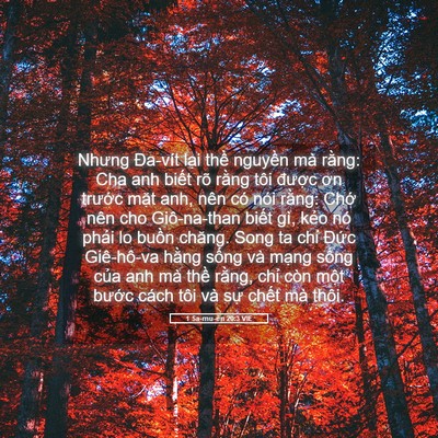 Picture 05 - 1 Sa-mu-ên 20:3 VIE - Nhưng Đa-vít lại thề nguyền mà rằng: - Bible Verse Picture
