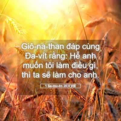 Picture 05 - 1 Sa-mu-ên 20:4 VIE - Giô-na-than đáp cùng Đa-vít rằng: Hễ - Bible Verse Picture