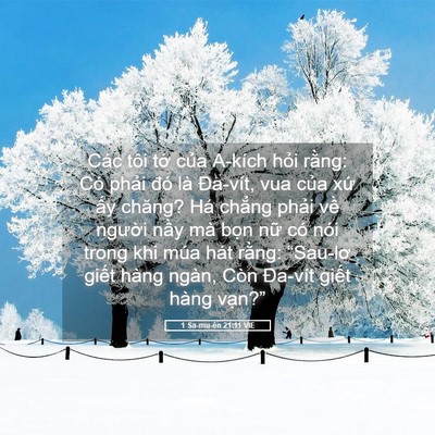 Picture 05 - 1 Sa-mu-ên 21:11 VIE - Các tôi tớ của A-kích hỏi rằng: Có - Bible Verse Picture