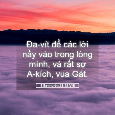 Picture 05 - 1 Sa-mu-ên 21:12 VIE - Đa-vít để các lời nầy vào trong lòng - Bible Verse Picture