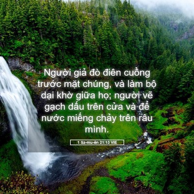 Picture 05 - 1 Sa-mu-ên 21:13 VIE - Người giả đò điên cuồng trước mặt - Bible Verse Picture