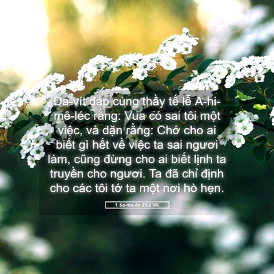 Picture 05 - 1 Sa-mu-ên 21:2 VIE - Đa-vít đáp cùng thầy tế lễ - Bible Verse Picture
