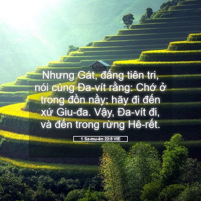 Picture 05 - 1 Sa-mu-ên 22:5 VIE - Nhưng Gát, đấng tiên tri, nói cùng - Bible Verse Picture