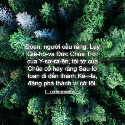 Picture 05 - 1 Sa-mu-ên 23:10 VIE - Đoạn, người cầu rằng: Lạy Giê-hô-va - Bible Verse Picture