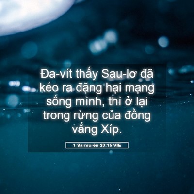 Picture 05 - 1 Sa-mu-ên 23:15 VIE - Đa-vít thấy Sau-lơ đã kéo ra đặng - Bible Verse Picture