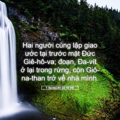 Picture 05 - 1 Sa-mu-ên 23:18 VIE - Hai người cùng lập giao ước tại - Bible Verse Picture