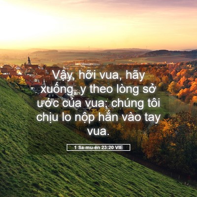 Picture 05 - 1 Sa-mu-ên 23:20 VIE - Vậy, hỡi vua, hãy xuống, y theo lòng sở - Bible Verse Picture